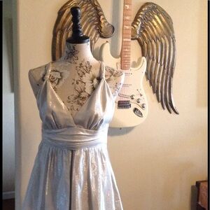 Shimmery Silver Top
